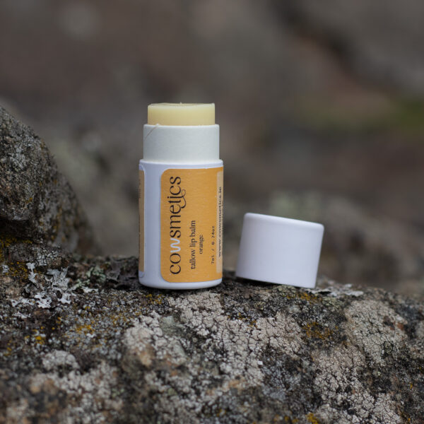 Tallow Lip Balm Orange