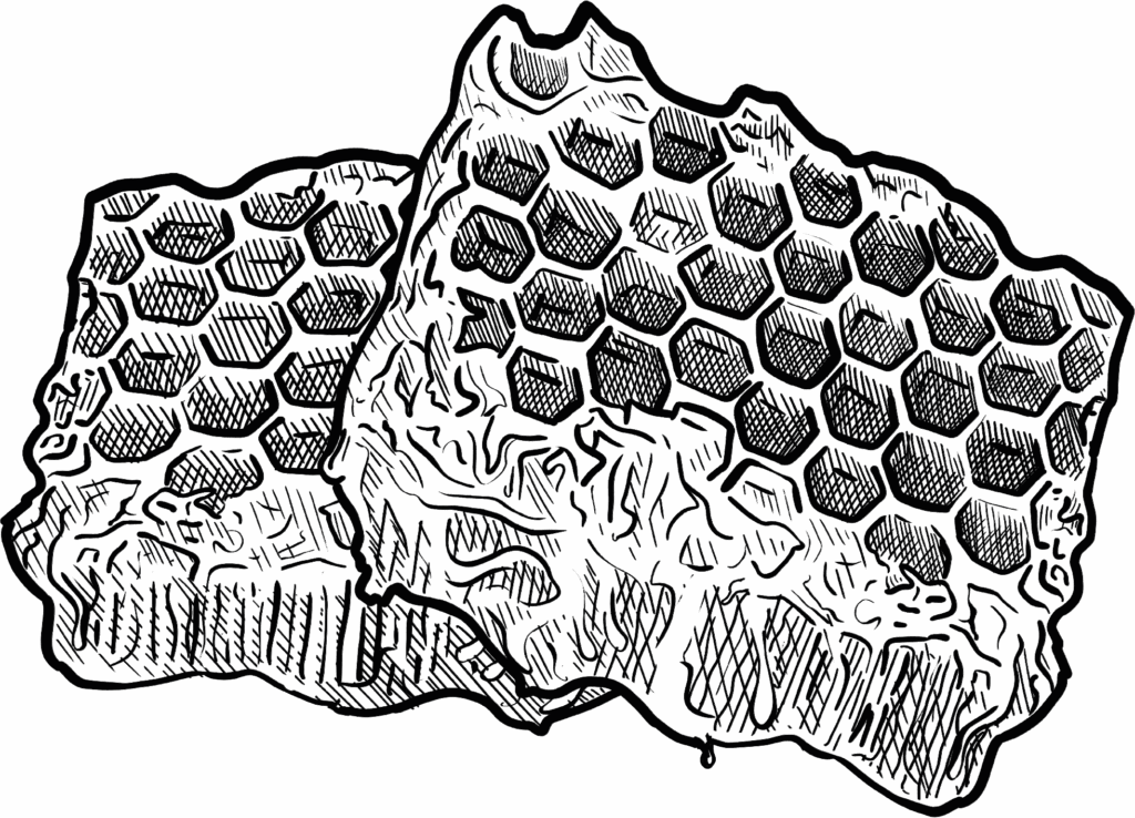 Beeswax illustration