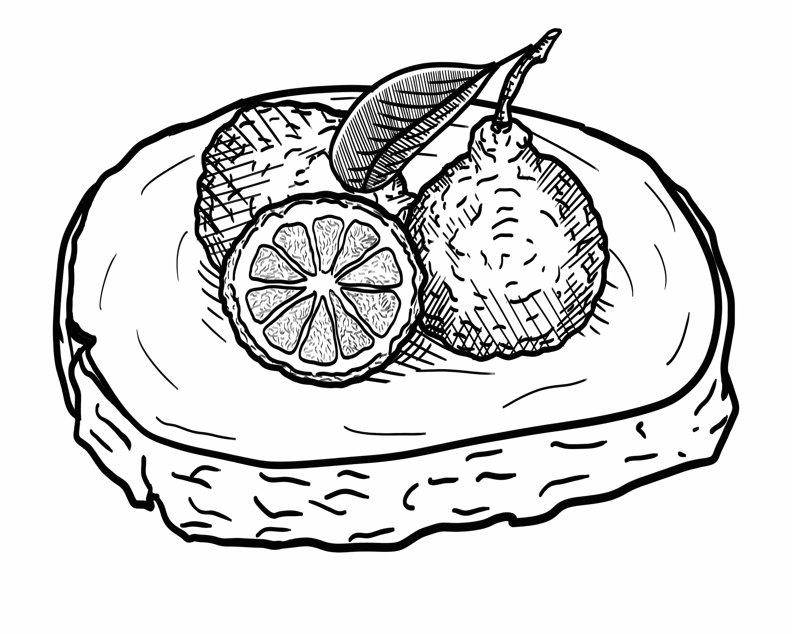 Bergamot illustration