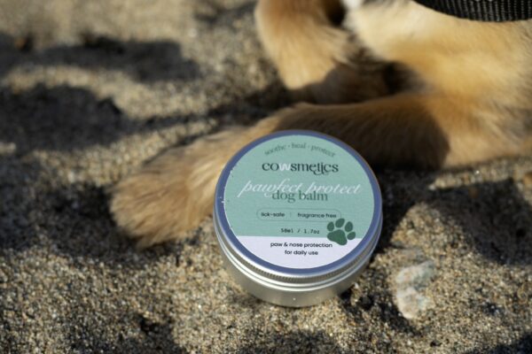 Dog with tallow dog balm for dry paws and noses