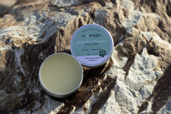 Tallow dog balm for dry paws and noses