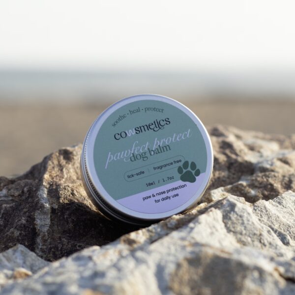 Tallow dog balm for dry paws and noses