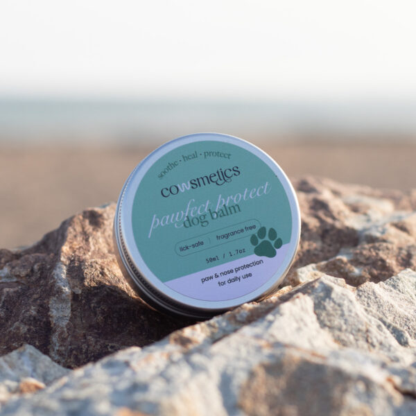 Tallow dog balm for dry paws and noses